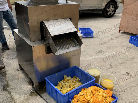 Βιομηχανικός εξαγωγέας χυμού από ανοξείδωτο χάλυβα 304 για την επεξεργασία νωπών εσπεριδοειδών, λεμονιών και πορτοκαλιών