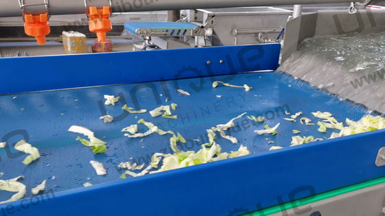 Μεγάλη χωρητικότητα 2000kg/ώρα Μηχανήματα για την κοπή λαχανικών, λάχανο, μαρούλι, λουτρό, πλύση και επεξεργασία