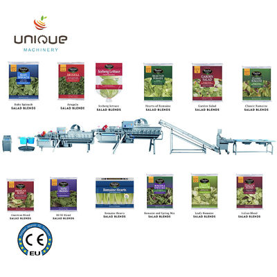 Εμπορική χρήση Γραμμή πλύσης πράσινου τσαγιού για την επεξεργασία φύλλων τσαγιού της Μιανμάρ από την Zibounique