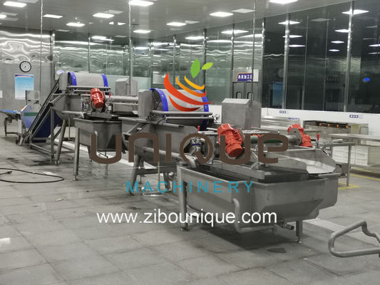 Εμπορική χρήση Γραμμή πλύσης πράσινου τσαγιού για την επεξεργασία φύλλων τσαγιού της Μιανμάρ από την Zibounique