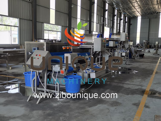 Εμπορική χρήση Γραμμή πλύσης πράσινου τσαγιού για την επεξεργασία φύλλων τσαγιού της Μιανμάρ από την Zibounique