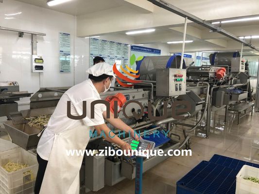 Εμπορική χρήση Γραμμή πλύσης πράσινου τσαγιού για την επεξεργασία φύλλων τσαγιού της Μιανμάρ από την Zibounique