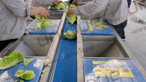 2021 Στυλ Φρούτα Λαχανικά Helix Λεπτομηχανή Επεξεργασίας για Εμπορικές Εφαρμογές