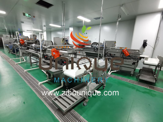 Γραμμή πλύσης λαχανικών και φρούτων με αποδοτικότητα επεξεργασίας 5000 KG