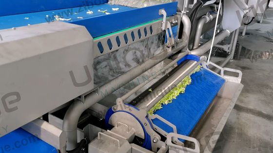 Μηχανή πλύσης λαχανικών 2200 KG για κόψιμο φύλλων και εμπορική σαλάτα φρούτων