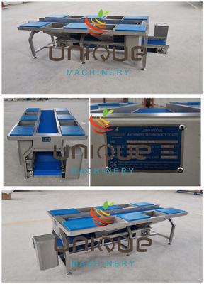 Πολυδιάστατο τραπέζι μεταφοράς και διαλέξεως λαχανικών από ανοξείδωτο χάλυβα για ξενοδοχεία 220v/380v