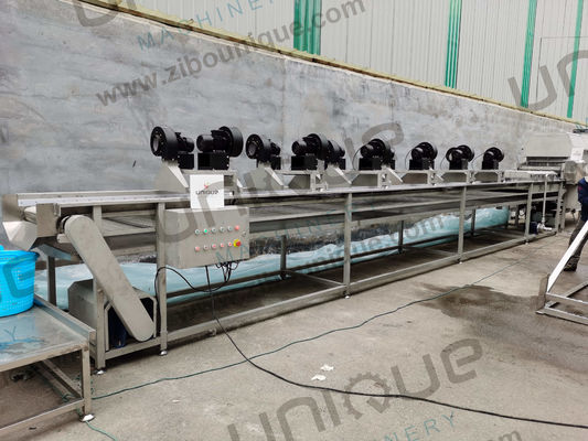 220v/ 380v Αυτοματοποιημένη μηχανή επεξεργασίας χρονολογίας, διαλογής φοινικιών, πλύσης και ξήρανσης