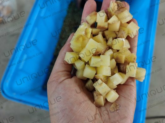 Μηχανή πλύσης λαχανικών και φρούτων για βαθύ καθαρισμό