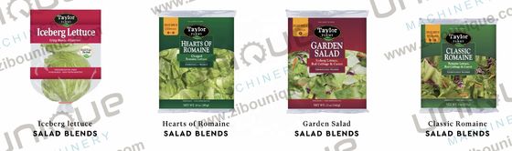 Μηχανή πλύσης λαχανικών και φρούτων για βαθύ καθαρισμό