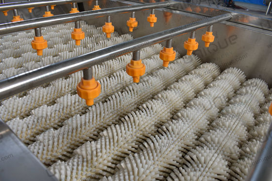 Συνεχής κυκλική πλυντή ρούχων για λαχανικά και φρούτα με εξοπλισμό καθαρισμού