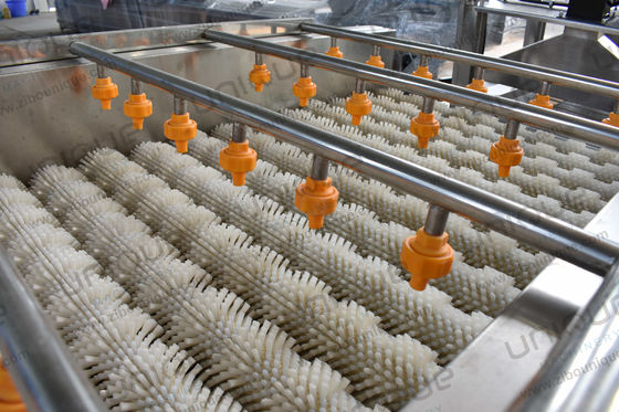 Μηχανή για πλύσιμο και καθαρισμό λαχανικών καρότου πατάτας τζίντζερ βούρτσας