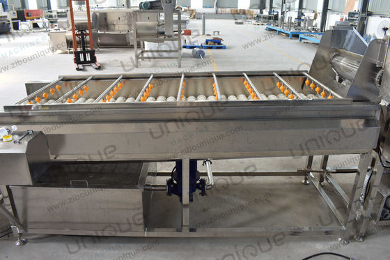 Μηχανή για πλύσιμο και καθαρισμό λαχανικών καρότου πατάτας τζίντζερ βούρτσας