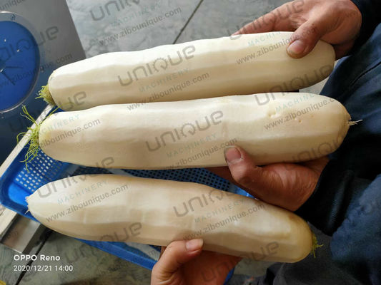 Μεγάλη ρίζα λαχανικών Daikon Ρεπικιού Mooli δέρμα μαχαίρι απολέπισης 0,75kw