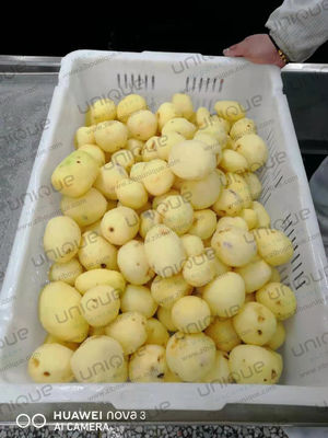 2022 Ετήσιο αυτόματο πλυντήριο και αποφλοιωτικό μηχάνημα για πατάτες σε μικρή κλίμακα