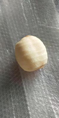 500 KG Πλήρως αυτόματη βιομηχανική μηχανή απολέπισης και απολέπισης καρπών μήλου πεύκης κιβίνου για το 2022