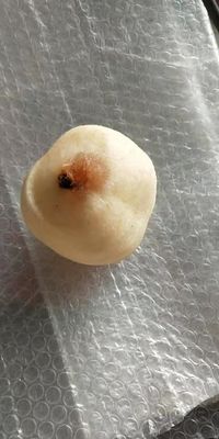 500 KG Πλήρως αυτόματη βιομηχανική μηχανή απολέπισης και απολέπισης καρπών μήλου πεύκης κιβίνου για το 2022