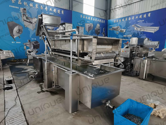 850 KG Δυνατότητα Φυτικά φύλλα Φαγητό Φούσκα Ύδρευσης για την παραγωγή εργοστασίου κατασκευής