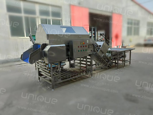 3000 kg/h Απολέπιση δέρματος κρεμμυδιού για ριζικά λαχανικά και από ανοξείδωτο χάλυβα 304 στον βιομηχανικό τομέα