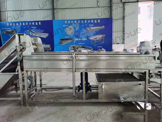 2.25 kw Οστρακοειδής βούρτσας πλυντηρίου λαχανικών για Yam και Malanga πλύση σε μεγάλη κλίμακα