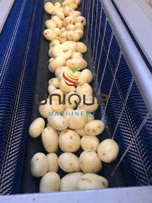 1.75 kw Εύκολη λειτουργία Ζαχαροκάλαμο Καρότο Πατάτα Βούρτσα Ρολετή πλυντήριο ρίζα λαχανικά πλυντήριο