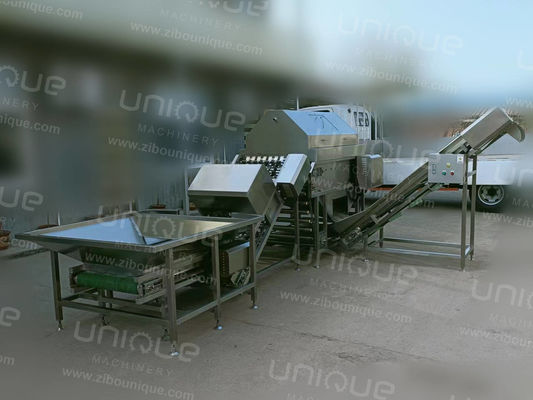 2000kg/h Γραμμή επεξεργασίας κρεμμυδιού με αέρα υψηλής πίεσης για μεγάλης παραγωγής