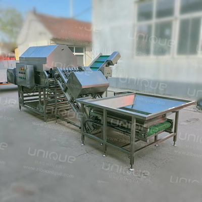 Αυτόματη γραμμή επεξεργασίας κρεμμύδιου με μηχανή απολέπισης και κοπής κρεμμύδιου τροφίμων και ποτών