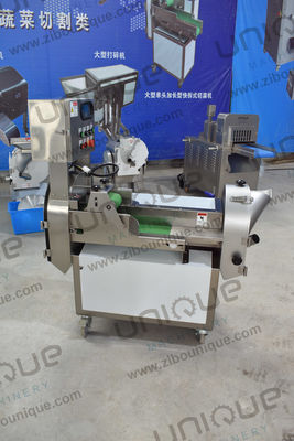 Υψηλής ευελιξίας μηχανή κοπής φρούτων και φυλλωδών λαχανικών με 220v/προσαρμοσμένη τάση