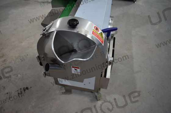 Υψηλής ευελιξίας μηχανή κοπής φρούτων και φυλλωδών λαχανικών με 220v/προσαρμοσμένη τάση