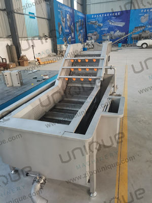 Μηχανή πλύσης λαχανικών με φυσαλίδες 5000x1450x1400 mm για γραμμή καθαρισμού φρούτων και λαχανικών