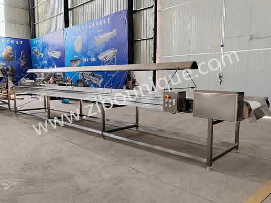 220v/ 380v Ατσάλι 304 νουτ Επιλογή μεταγωγικής ζώνης για μηχανή διαλογής σταφίδων