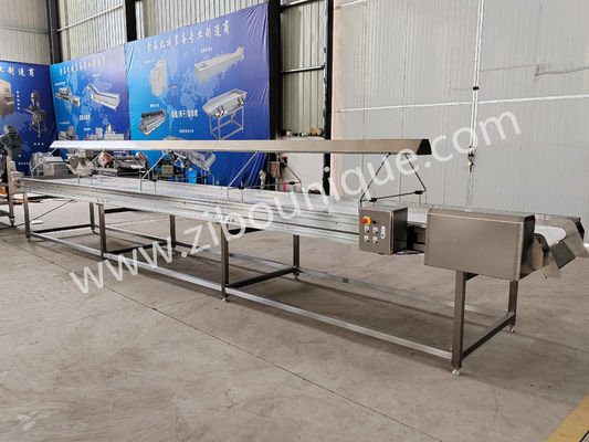 220v/ 380v Ατσάλι 304 νουτ Επιλογή μεταγωγικής ζώνης για μηχανή διαλογής σταφίδων