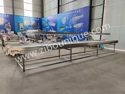 220v/ 380v Ατσάλι 304 νουτ Επιλογή μεταγωγικής ζώνης για μηχανή διαλογής σταφίδων