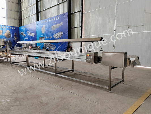 220v/ 380v Ατσάλι 304 νουτ Επιλογή μεταγωγικής ζώνης για μηχανή διαλογής σταφίδων
